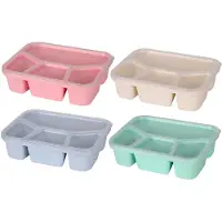 VHV - Lunchbox met Vakken - 4 Stuks Bento Boxen 21 x 16 x 5 cm - BPA-vrij - Magnetron en Vaatwasser Bestendig - Mix Kleuren