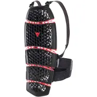 Dainese Pro-Armor 2.0 Back Kort Rugprotector Zwart/Rood XS/M, unisex
