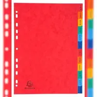 Exacompta 5x Tabbladen A4 Jan-Dec - Geassorteerd - 3109Z