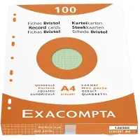 Exacompta Indexkaarten (210 x 297 mm)