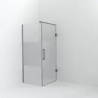 Balmani Modular inloopdouche met deur: 90 x 200 cm met deur 90 cm, Helder glas met matte strook, Brushed Inox profielen