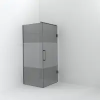 Balmani Modular inloopdouche met deur: 90 x 200 cm met deur 90 cm, Rookglas met matte strook met coating, Brushed Inox profielen