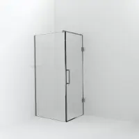 Balmani Modular inloopdouche met deur: 100 x 200 cm met deur 80 cm, Helder glas met coating, Brushed CoolMetal profielen
