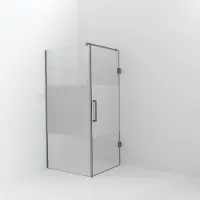 Balmani Modular inloopdouche met deur: 100 x 200 cm met deur 90 cm, Helder glas met matte strook, Brushed Inox profielen