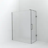 Balmani Modular inloopdouche met deur: 160 x 200 cm met deur 80 cm, Helder glas, Brushed CoolMetal profielen