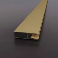 Sanivo Verbredingsprofiel Vigo XL 200x7 cm Geborsteld Messing Goud