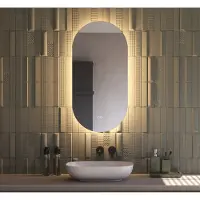 Schaere Ovale badkamerspiegel met indirecte verlichting, verwarming, instelbare lichtkleur en dimfunctie 45x90 cm