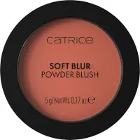 Catrice Rouge Soft Blur Powder Blush 5 g