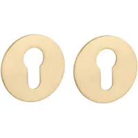 STERK | Cilinderplaatjes OVAL 1711 | Ultra dun | 3mm | Rond | Goud gepolijst PVD