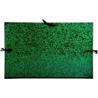 Exacompta Tekenmap 532800E Karton 520mm x 720mm Groen Verpakking van 5