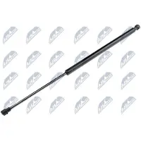 NTY AE-WW-071 Gasveer achterklep