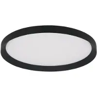 Steinhauer Plafondlamp Flady 4367ZW zwart Ø30 2000 Lumen
