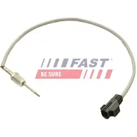 Fast Sports Nutrition FT80254 Sensor, uitlaatgastemperatuur