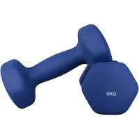 Songmics - Dumbells - Dumbells 5 kg - Hexagon Dumbells - 2 x 5 kg - Voor Krachttraining Thuis