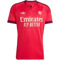 Adidas Tricot 'Olympique Lyon 26/27' framboos / wijnrood / offwhite