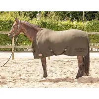 Harry's Horse Jersey fleece/cooler deken Forest night 175cm Forest night