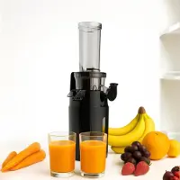 TIM. TIM Sapcentrifuges Groenten En Fruit – Slowjuicer Met 3 Snelheden – Sapcentrifuge 300ml - slow juicer – Zwart - 14cm x 36cm x 13cm ; 1kg