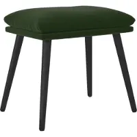 vidaXL Voetenbank 45x29,5x35 cm fluweel donkergroen