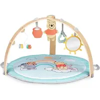 Bright Starts Activity gym Winnie de Poeh hangout - - vanaf 0 maanden
