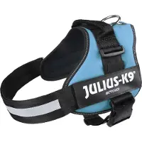 Julius-K9 K9Powertuig, L - maat 1, azuurblauw