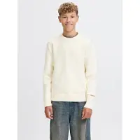 Jack & Jones Kids Junior Trui 'JORNorrebro' crème