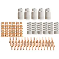 Typecat 100 stuks plasmasnijpuntelektroden en spuitmondsets, verbruiksartikelen en accessoires