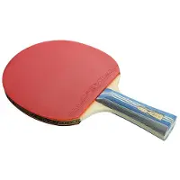Tlily HuIESON Tafeltennis Enkel Racket Dubbelzijdig Anti-Lijm Novice Tafeltennis Racket Professioneel Trainingsracket B