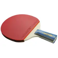 Tlily HuIESON Tafeltennis Enkel Racket Dubbelzijdig Anti-Lijm Novice Tafeltennis Racket Professioneel Trainingsracket A