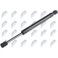 NTY AE-WW-044 Gasveer achterklep