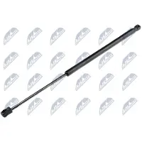 NTY AE-WW-021 Gasveer achterklep