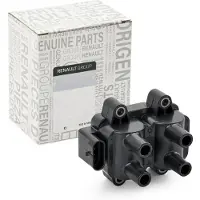 Renault 224336134R Bobine