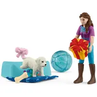 Schleich Verjaardagsfeestje met Lisa - 42744 - 12 Onderdelen - - OneSize - Speelgoedfiguren