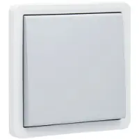 Technim Niko Hydro Wd Kruisschakelaar 1V 10A/250V - Insteek Grijs
