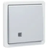 Technim Niko Hydro Wd Controleschakelaar 2P 10A - Insteek Grijs