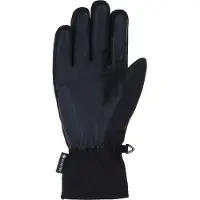 Viking Revo Gore-tex Handschoenen
