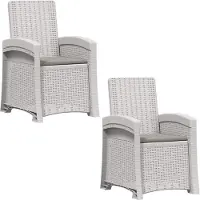 vidaXL Ligstoel Rieten Look 2 st Wit en Lichtgrijs PP