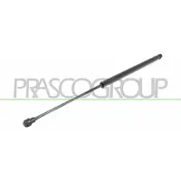 PRASCO FT1139015 Gasveer achterklep