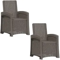 vidaXL Ligstoel Rieten Look 2 st Lichtgrijs PP