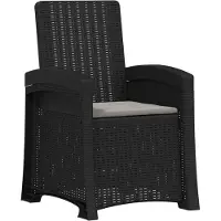 vidaXL Ligstoel Rieten Look Anthraciet en Lichtgrijs PP