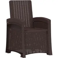 vidaXL Ligstoel Rieten Look Bruin PP