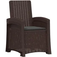 vidaXL Ligstoel Rieten Look Bruin en antracietkleurig PP