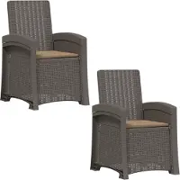 vidaXL Ligstoel Rieten Look 2 st Lichtgrijs en Taupe PP