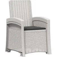 vidaXL Ligstoel Rieten Look Wit en antracietkleurig PP