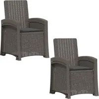 vidaXL Ligstoel Rieten Look 2 st Lichtgrijs en antracietkleurig PP