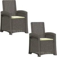 vidaXL Ligstoel Rieten Look 2 st Lichtgrijs en Crème PP