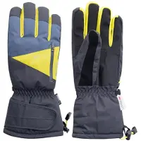Elbrus Richen Handschoenen Grijs S-M Man