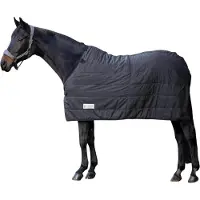 Waldhausen Economic - Staldeken - Paardendeken - 165 cm - Zwart