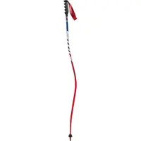 Swix World Cup Pro Dh Carbon Stokken