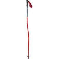 Swix World Cup Pro Super-g Stokken