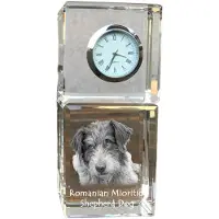 Art-Dog Klok – Roemeense mioritic-herdershond